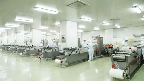 探訪煌上煌醬鹵博物館 美食工廠變身文化旅游景區(qū)，打造獨(dú)特文旅新地標(biāo)